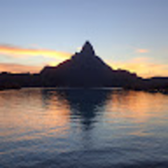 Meet your Posher, Dillyn - Picture 1 of 1